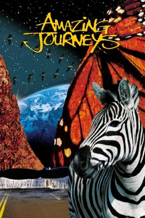 Amazing Journeys