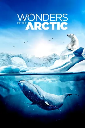Wonders of the Arctic