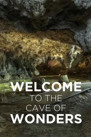 Welcome to the Cave of Wonders