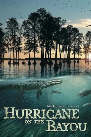 Hurricane on the Bayou