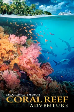 Coral Reef Adventure