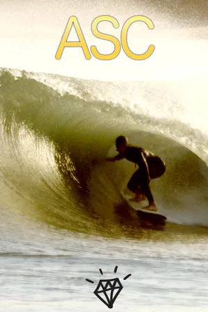 Alternative Surf Craft (2017)