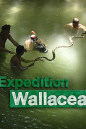 Wallacea – Expedition zur Wiege der Meeresfauna