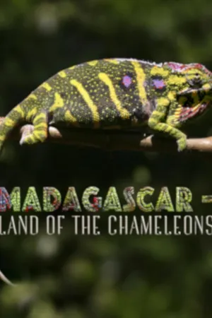 Madagascar – Land of the Chameleons