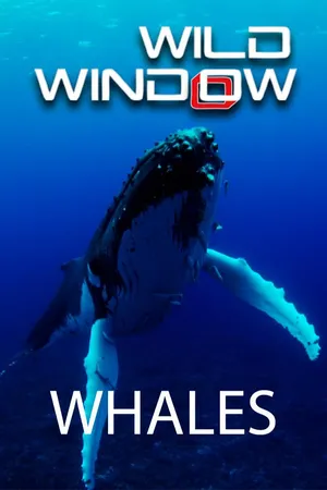 Wild Window: Whales