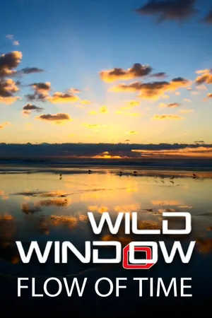Wild Window: Flow of Time