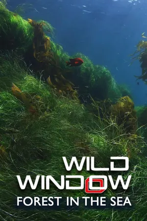 Wild Window: Forest in the Sea