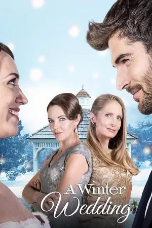 Winter Wedding