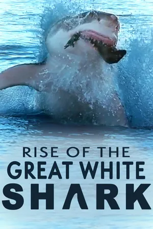 Rise of the Great White Shark