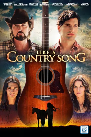 Like a Country Song