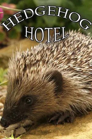 Hedgehog Hotel