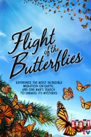 Flight of the Butterflies