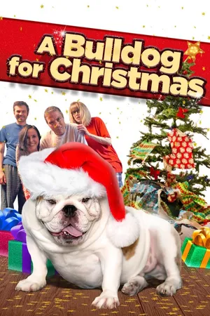A Bulldog for Christmas