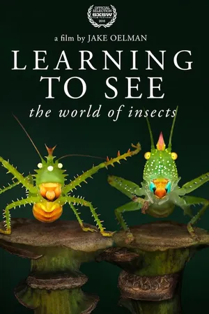 Learning To See: The World Of Insects
