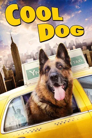 Cool Dog