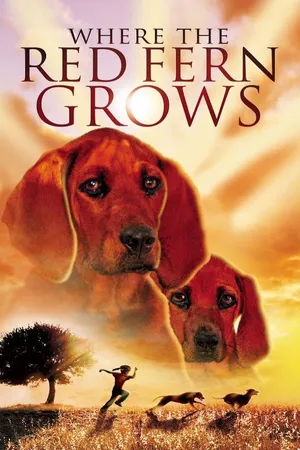 Where Red Fern Grows