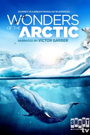 Wonders of the Arctic ( Shout )