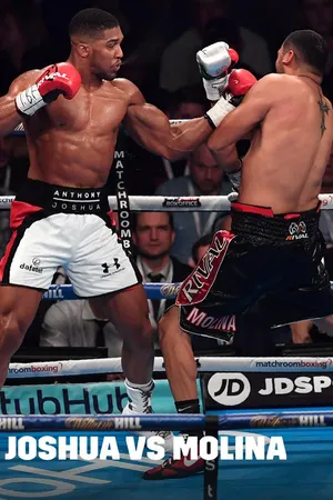DAZN Presents: Joshua vs. Molina-December 10, 2016