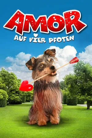 Amor auf vier Pfoten