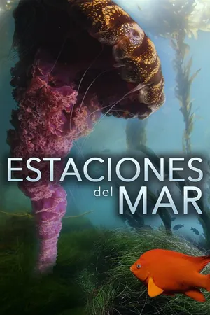 Las Estaciones del Mar