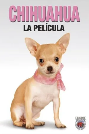 Chihuahua: La Película