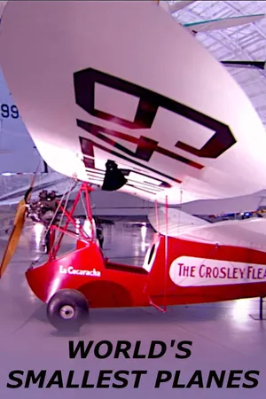 World's Smallest Planes