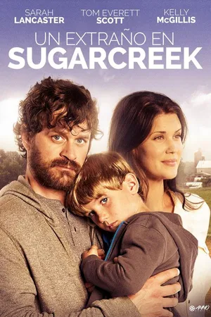 Un extraño en Sugarcreek
