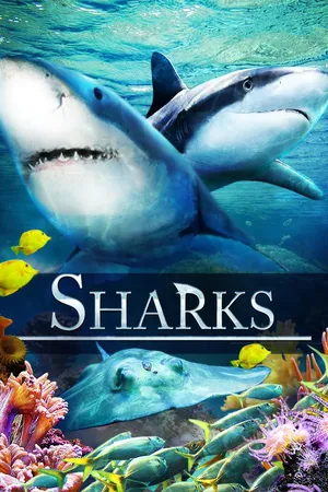 Sharks