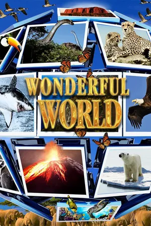 Wonderful World