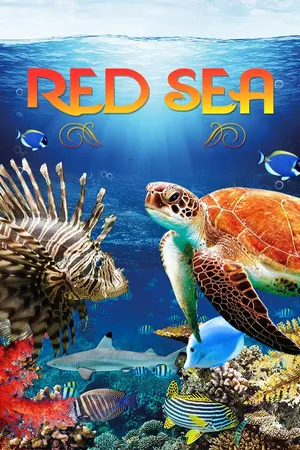 Red Sea