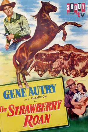 The Strawberry Roan