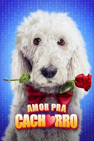 Amor pra Cachorro