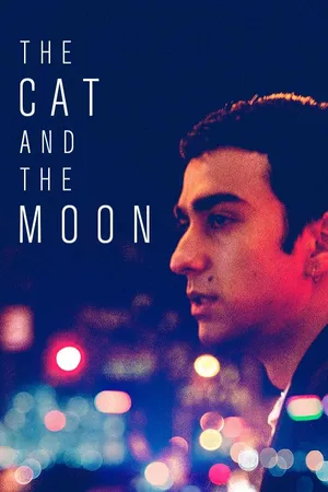 The Cat and the Moon