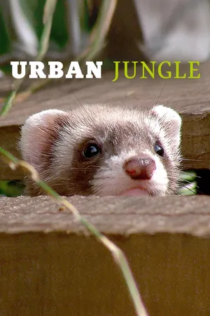 Urban Jungle