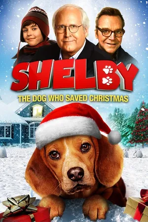 Shelby