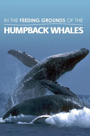 The Fascinating World of the Humpback Whales