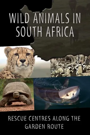 Wild Animals on the South African Garden Route