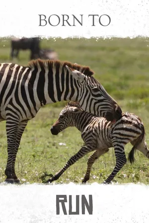 Amazing Nature: Run to Survive