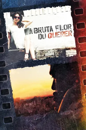 A Bruta Flor do Querer