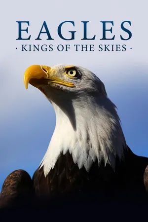 Eagles - Kings of the Skies