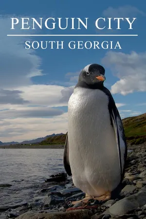 South Georgia - Island of the Penguins