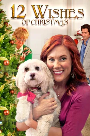 12 Wishes of Christmas