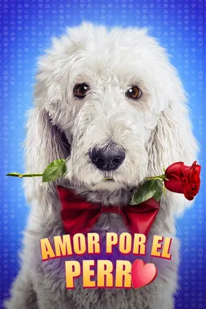 Amor por el Perro