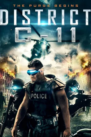 District C-11
