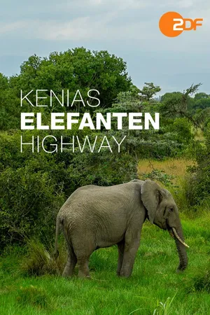 Kenias Elefanten-Highway