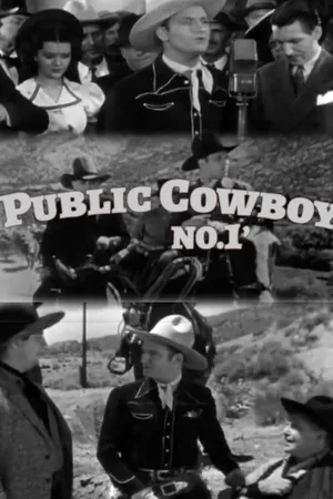Public Cowboy No.1