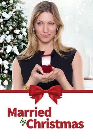 Un mari avant Noël