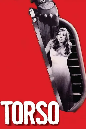 Torso