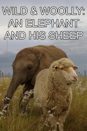 Wild & Woolly: An Elephant And His Sheep