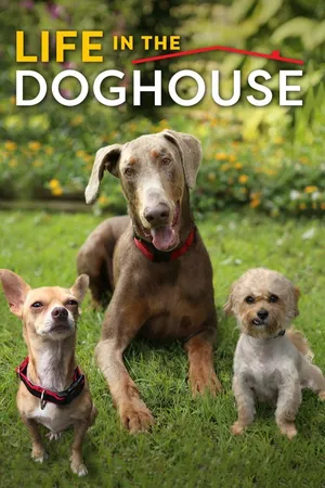 Life in the Doghouse